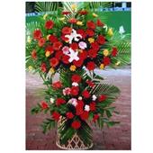 开业花篮/美丽祝福