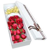 爱的呼唤（礼盒）